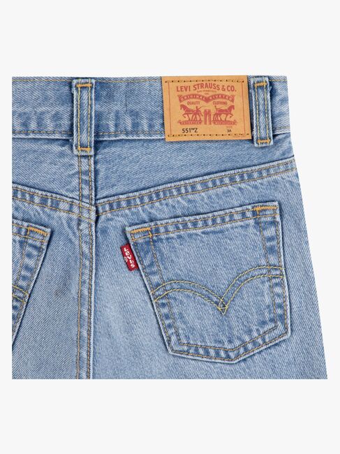 Levi's LVB Skate Shortsit, From Scratch