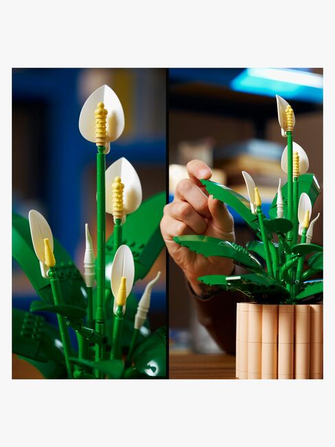 LEGO Botanicals 11504 Viirivehka