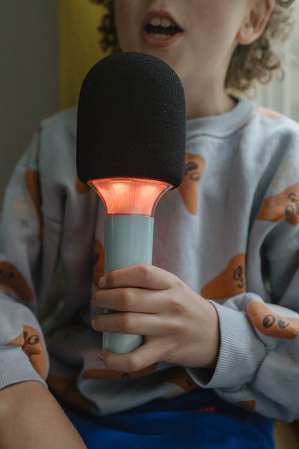 Kidywolf KIDYMIC Karaokemikrofoni All-in-One, Vihreä