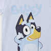 2900003114-BLUEY-4656_4b.jpg
