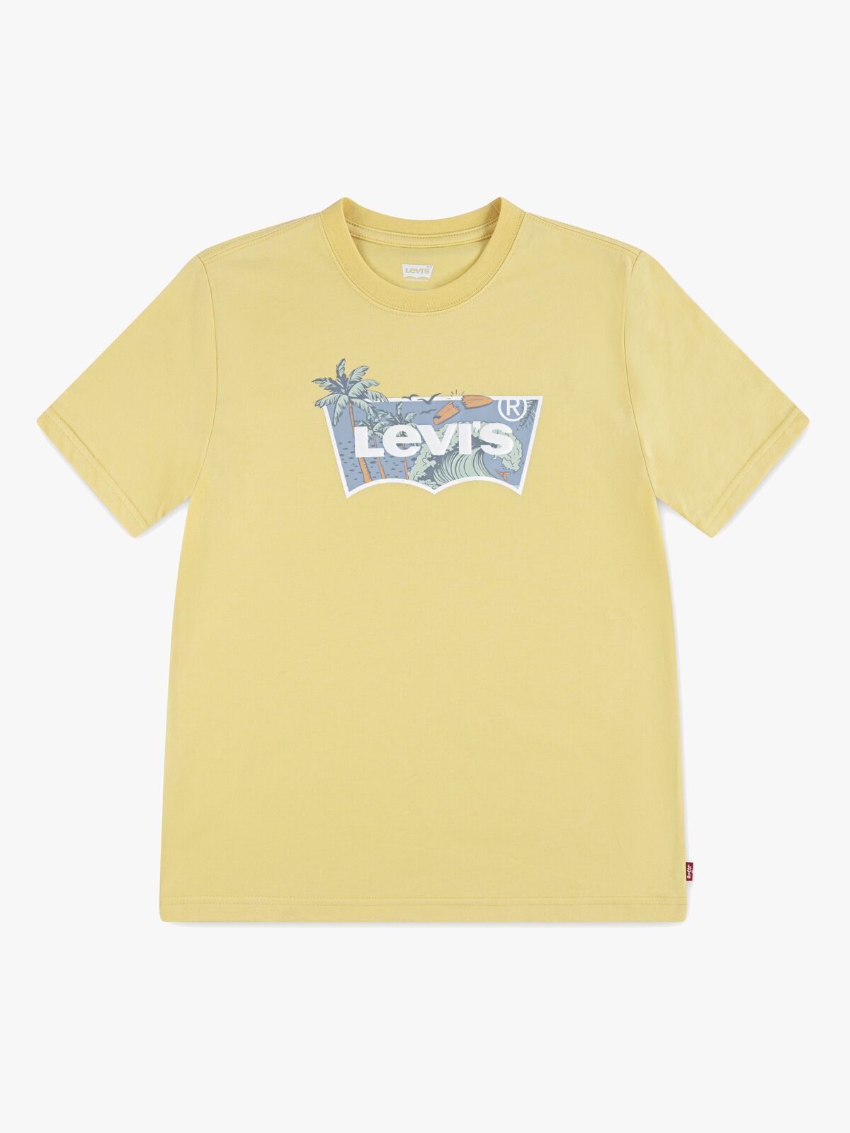 Levi's LVB High Tide Batwing T-paita, Raffia