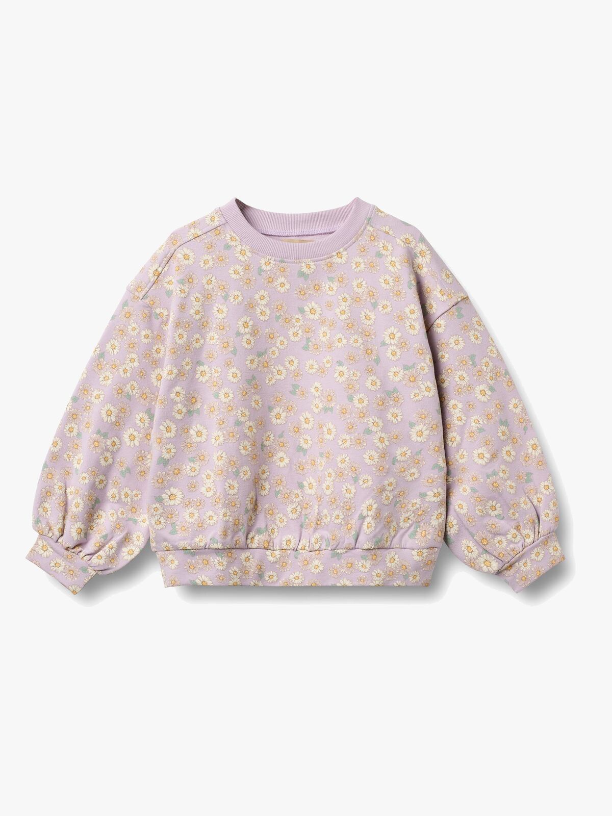 Wheat Lia Collegepaita, Lavender Daisies