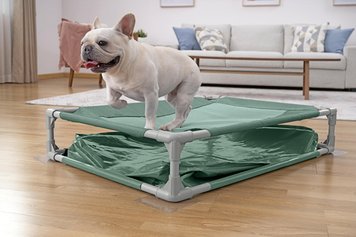 Bestway Lemmikkiallas Fetchin' Fun 2-in-1