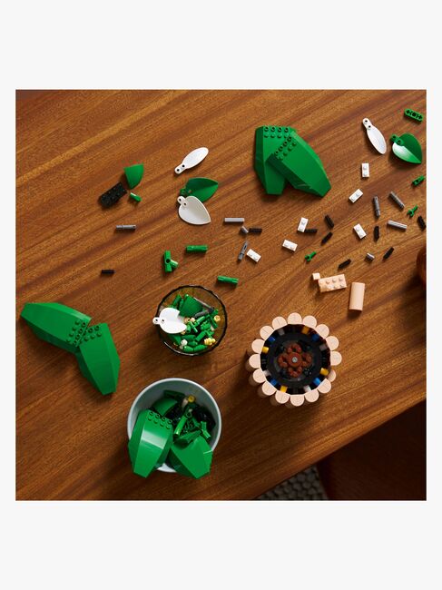 LEGO Botanicals 11504 Viirivehka