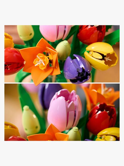 LEGO Botanicals 11501 Tulppaanikimppu