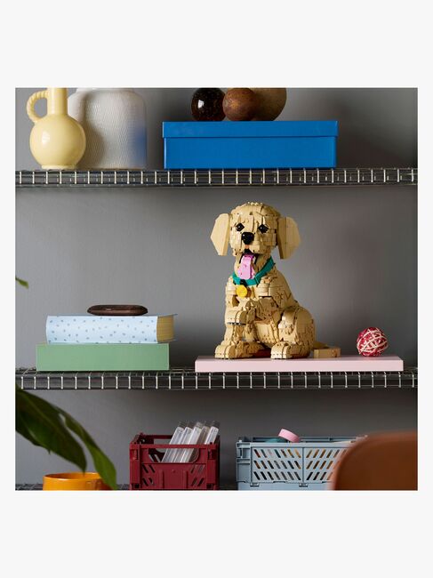 LEGO Icons 11384 Kultaisen noutajan pentu