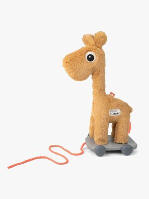 Done By Deer Vetolelu Raffi, Mustard