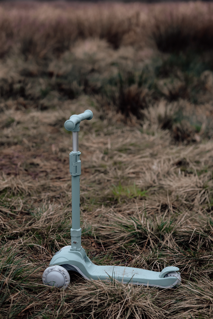 Vanilla Copenhagen Potkulauta, Fern