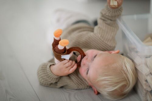 Mikko Mallikas Purulelu + Luonnonkumi Rengas