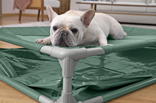 Bestway Lemmikkiallas Fetchin' Fun 2-in-1