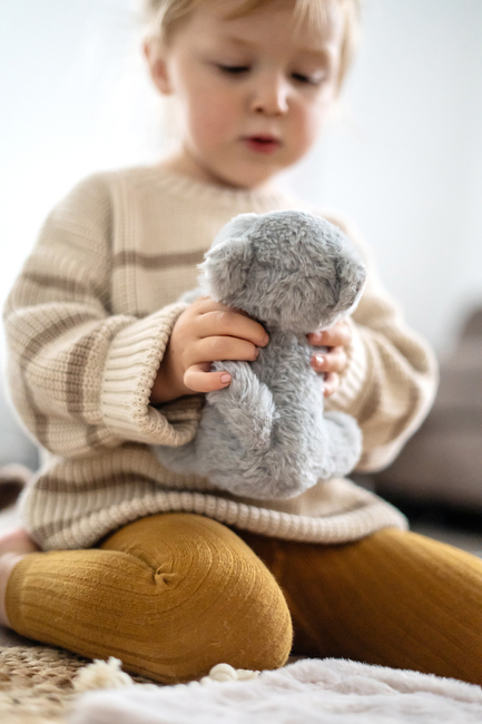 Small Foot Kissa + Laukku & Hoitosarja