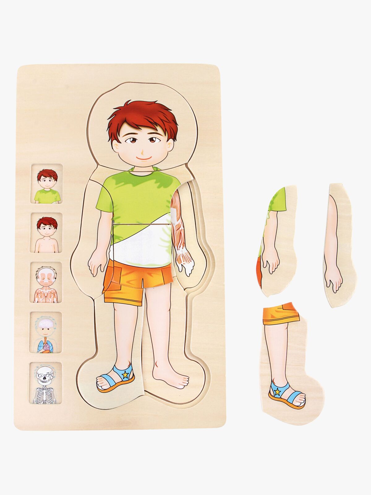 Small Foot Palapeli Anatomia, Vihreä