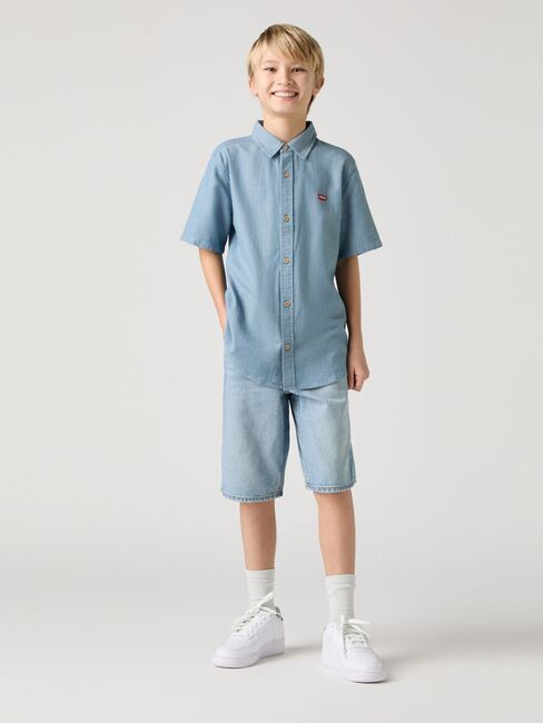 Levi's LVB Skate Shortsit, From Scratch