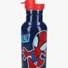 Spidey And His Amazing Friends Ruostumaton Teräs Juomapullo 500ml, Take a Sip