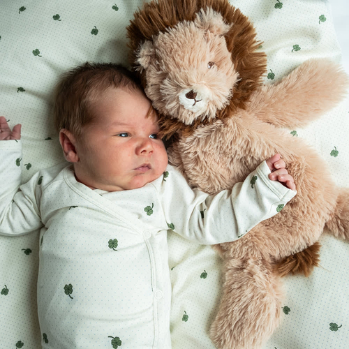 That's Mine Houston Painopehmolelu Leijona 0,3 kg