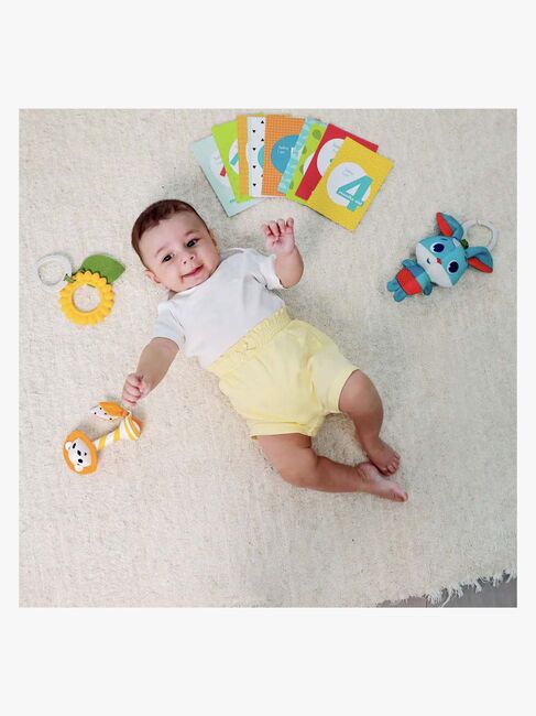 Tiny Love Meadow Days Lahjapakkaus