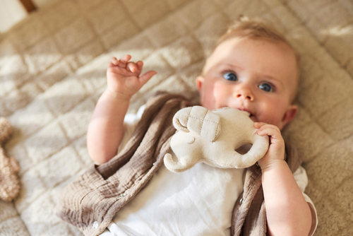 Jollein Helistin, Elephant Tales