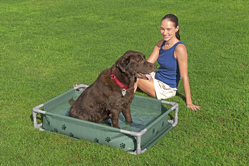 Bestway Lemmikkiallas Fetchin' Fun 2-in-1