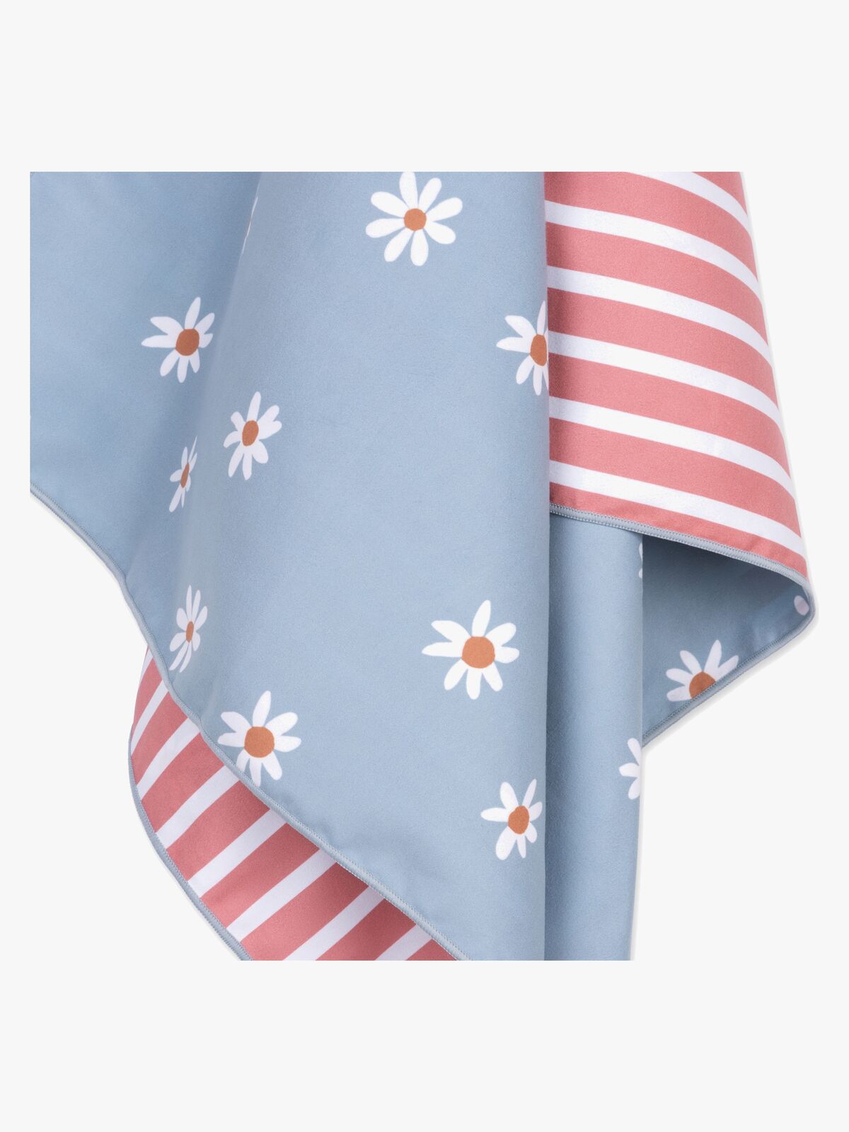 1938908_2024SE1677-DaisyFlowers-4663_3c.jpg