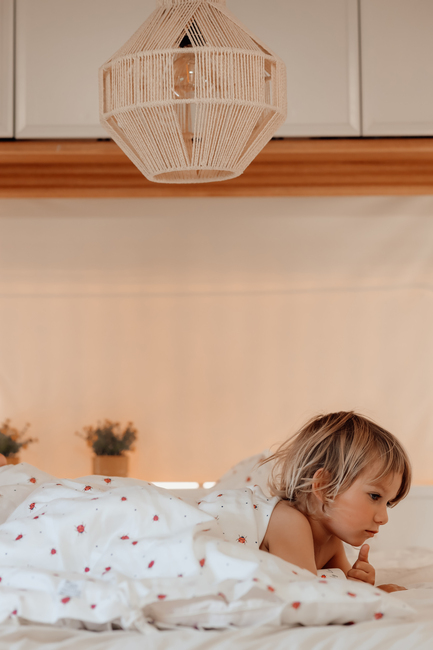 Vanilla Copenhagen Pussilakanasetti Baby 70x80, Lady Lovebug