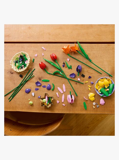 LEGO Botanicals 11501 Tulppaanikimppu