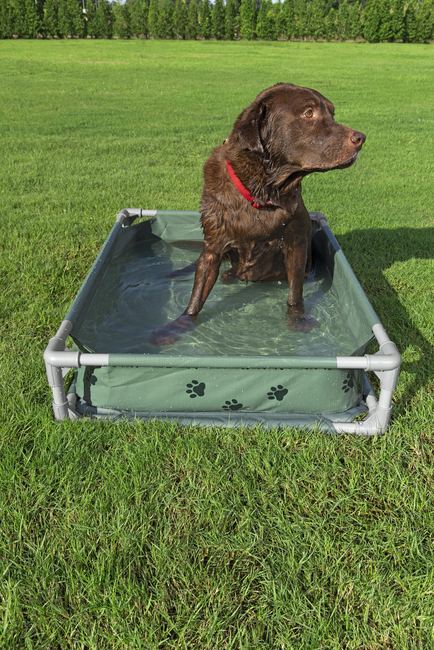 Bestway Lemmikkiallas Fetchin' Fun 2-in-1