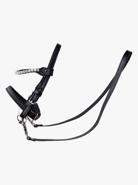 My Hobby Horse Suitset + Hopeakivet, Ruskea