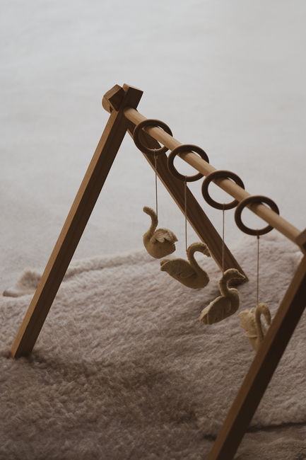 Quax Swan Aktivointilelut 5 Osaa