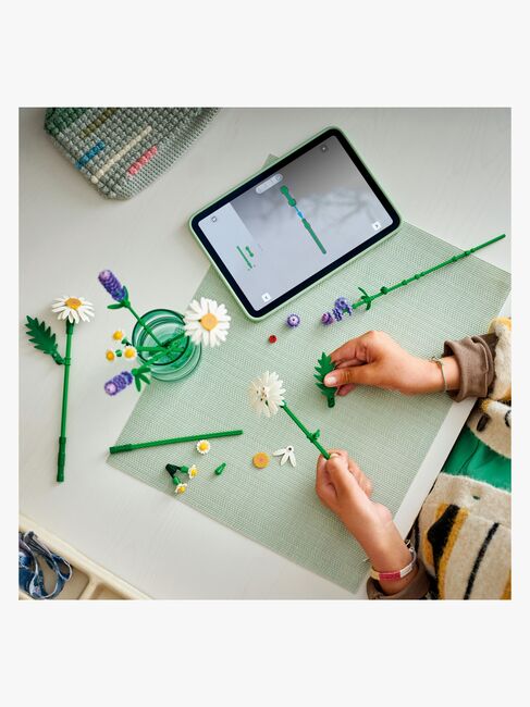 LEGO Botanicals 11508 Päivänkakkarat