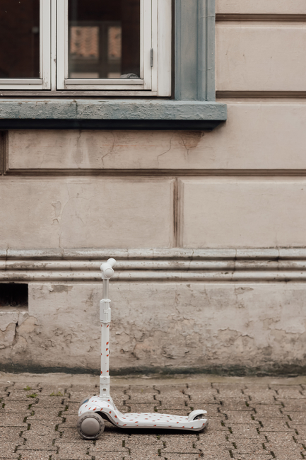 Vanilla Copenhagen Potkulauta, Ladybug