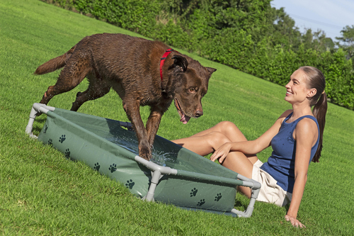 Bestway Lemmikkiallas Fetchin' Fun 2-in-1