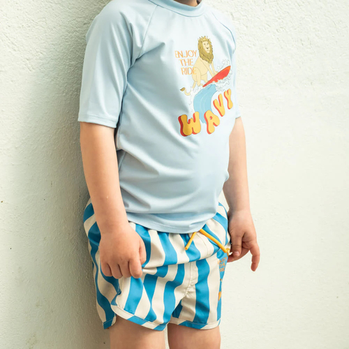 That's Mine Lai Uimashortsit, Block Stripe Blue