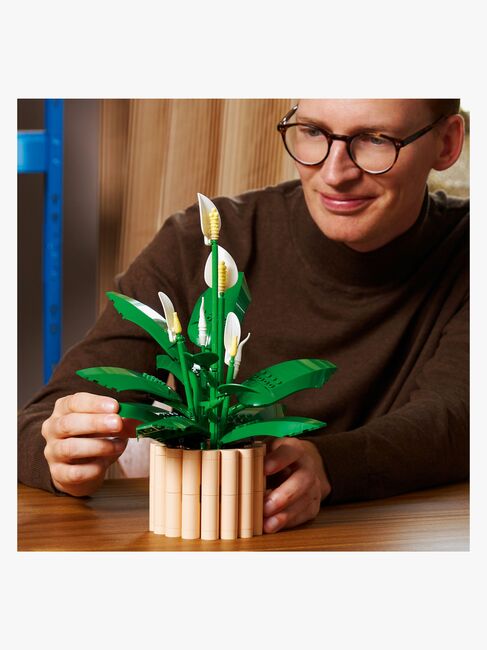 LEGO Botanicals 11504 Viirivehka