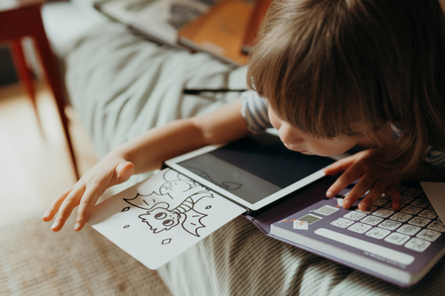 Kidywolf KIDYDRAW MINI Piirustustabletti LCD Sadut