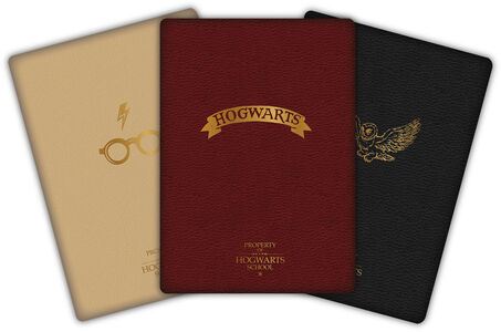 Harry Potter Vihko 3-pack