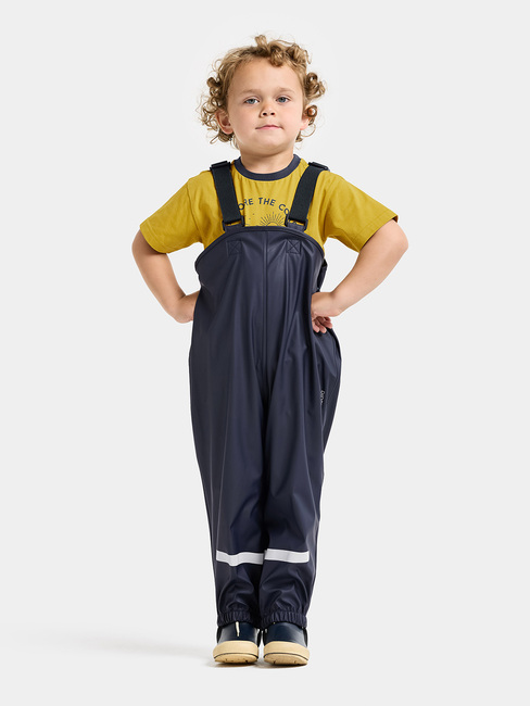Didriksons Slaskeman Sadeasu, Le rand blue
