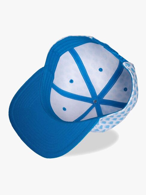 Pokémon Snapback Lippalakki, Greninja