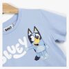2900002629-BLUEY-4656_4c.jpg