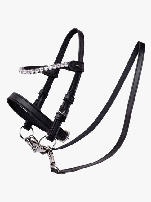 My Hobby Horse Suitset + Hopeakivet, Ruskea