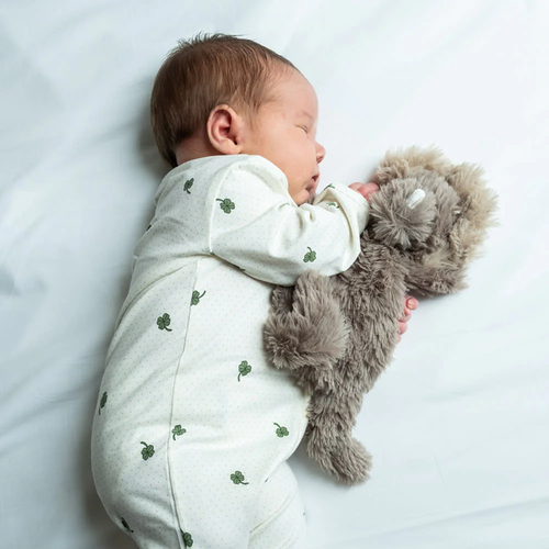 That's Mine Houston Painopehmolelu Dinosaurus 0,13 kg