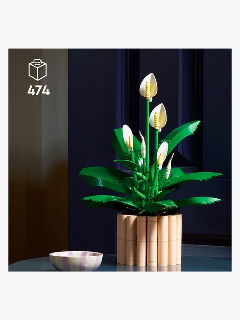 LEGO Botanicals 11504 Viirivehka