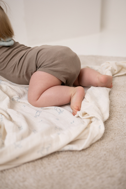 Muumit Musliiniviltit 2-pack, Blue