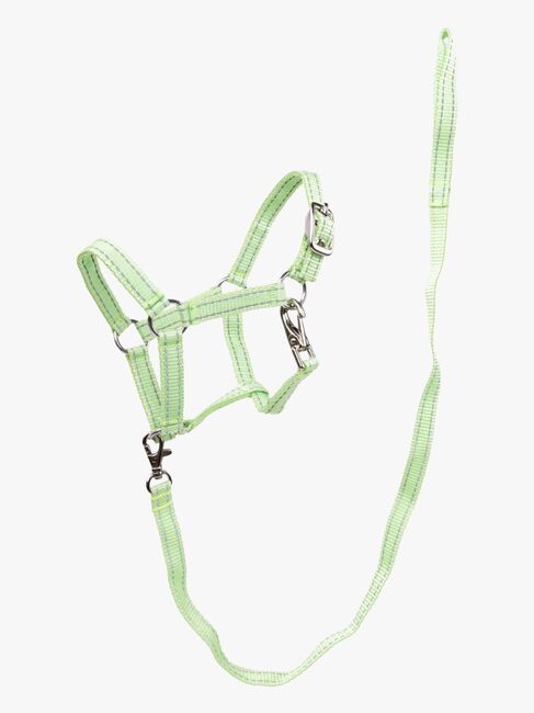 My Hobby Horse Heijastinriimu + Riimunnaru