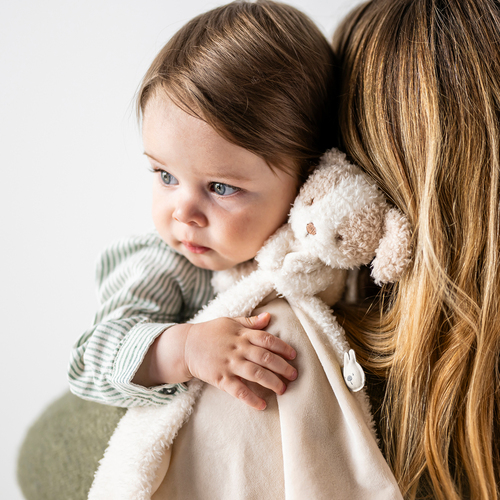 Nattou Teddy Uniriepu Koira, Vanilla