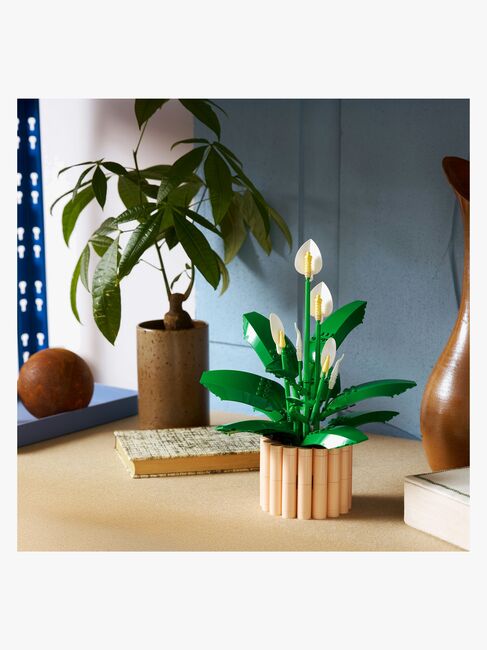 LEGO Botanicals 11504 Viirivehka