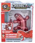 Dissect It Sciencekit Salamander Eläinfiguuri, Punainen