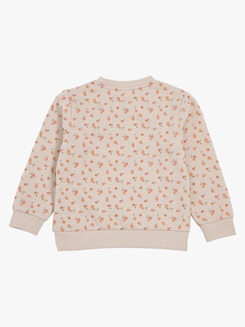 Viking X Kenza Collegepaita, Hiekanruskea