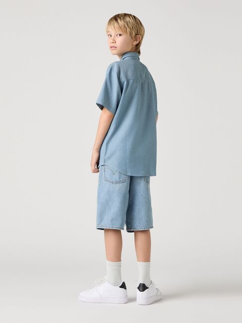 Levi's LVB Skate Shortsit, From Scratch