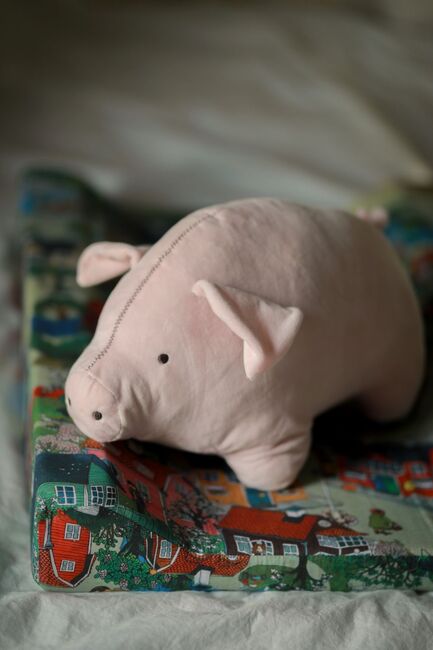 Se Pikkuinen Lotta Teddy Pehmolelu Possu, Vaaleanpunainen