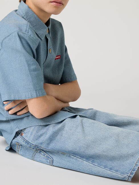 Levi's LVB Skate Shortsit, From Scratch